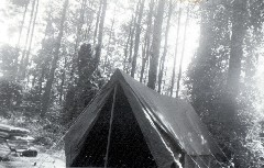 Tent Camping at top of Smokey Mountain